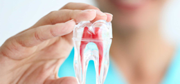 UP PLANNING TO HOLD SEVERAL POSTGRADUATE COURSES IN DENTISTRY IN NEAR FUTURE